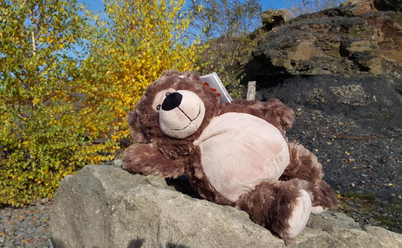 Teddy4you Teddy Bobby Bär