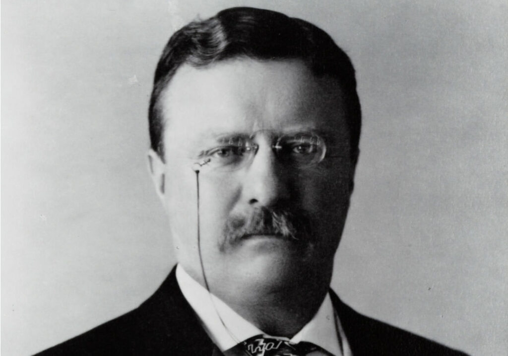Teddy - Theodore Roosevelt ist der Namensgeber des Teddybären